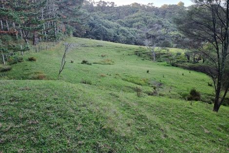 Photo of property in 389 Rimmer Road, Helensville, 0875