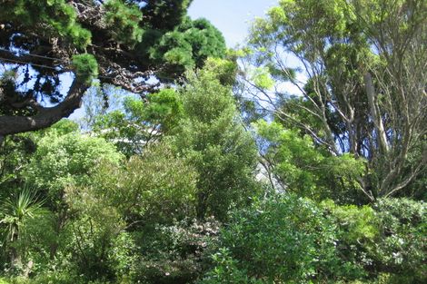 Photo of property in 52b Raroa Road, Kelburn, Wellington, 6012