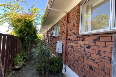 Photo of property in 5 Egmont Street, Chartwell, Hamilton, 3210