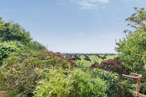 Photo of property in 890a Otaraoa Road, Tikorangi, Waitara, 4383