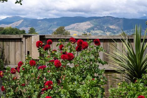 Photo of property in 323 Appleby Highway, Appleby, Richmond, 7081