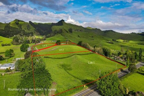 Photo of property in 48 Morrison Road, Taneatua, 3123