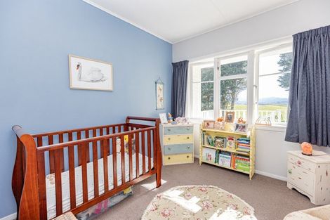 Photo of property in 398 Dorsets Road, Rangitumau, Masterton, 5882