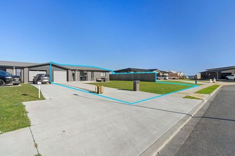 Photo of property in 111 Hinemoa Street, Levin, 5510