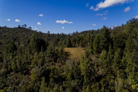 Photo of property in 625 Rangihau Road, Coroglen, Whitianga, 3591