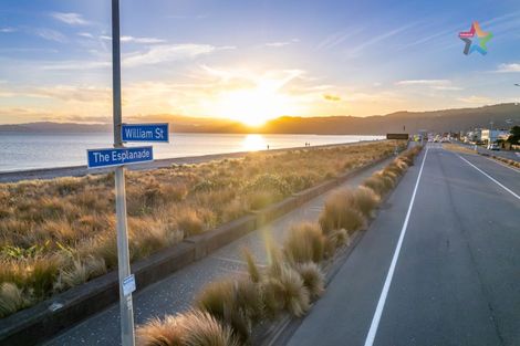 Photo of property in 217 The Esplanade, Petone, Lower Hutt, 5012