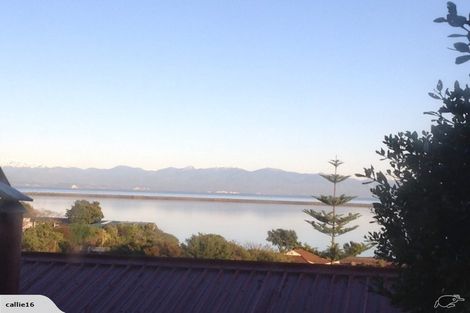 Photo of property in 19 Tresillian Avenue, Marybank, Nelson, 7010