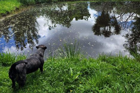 Photo of property in 1680 Tiki Sh25 Road, Preece Point, Coromandel, 3506