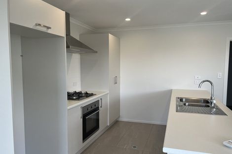 Photo of property in 104 Pragma Rise, Huntington, Hamilton, 3210