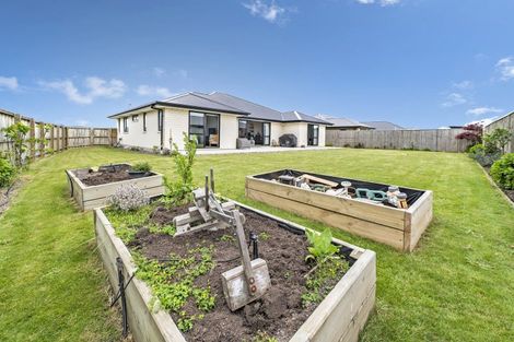 Photo of property in 19 Raptor Street, Rolleston, 7615