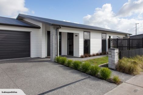 Photo of property in 21 Medway Place, Chartwell, Hamilton, 3210