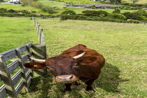 Photo of property in 59b Newman Road, Stillwater, Silverdale, 0993