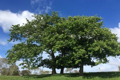 Photo of property in 182 Morrison Road, Arapohue, Dargaville, 0374