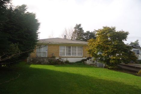 Photo of property in 56 Totara Street, Putaruru, 3411