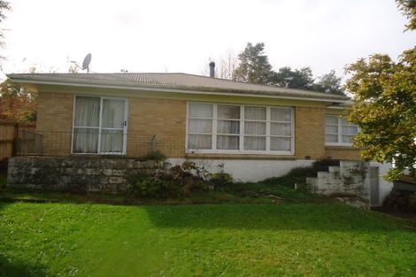 Photo of property in 56 Totara Street, Putaruru, 3411