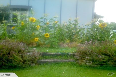 Photo of property in 55 Grey Street, Feilding, 4702