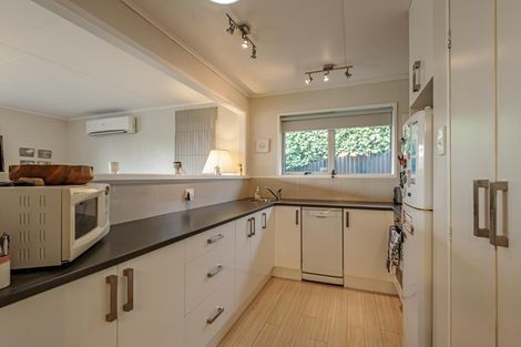 Photo of property in 344 Ruahine Street, Terrace End, Palmerston North, 4410