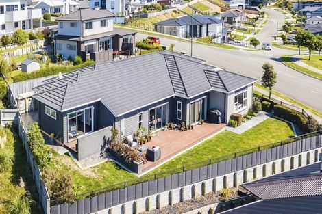 Photo of property in 53 Endeavour Drive, Whitby, Porirua, 5024