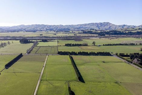 Photo of property in 1003 State Highway 2, Mikimiki, Masterton, 5881