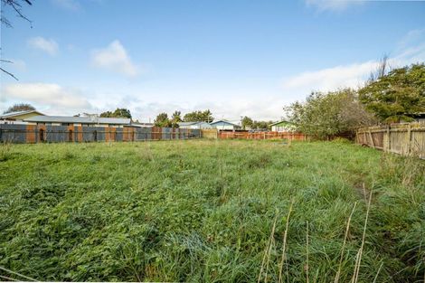 Photo of property in 16 Birch Place, Aramoho, Wanganui, 4500