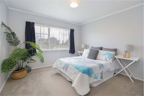 Photo of property in 223 Te Kawana Road, Te Aroha, 3392