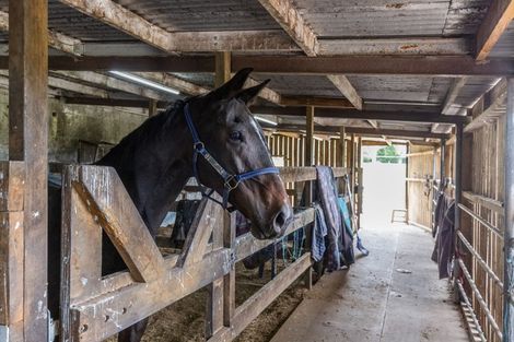 Photo of property in 300 Rerewhakaaitu Road, Rerewhakaaitu, Rotorua, 3073