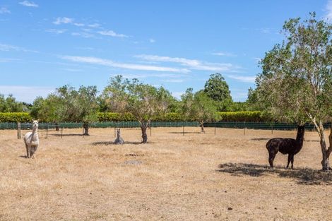 Photo of property in 399a Lake Ferry Road, Dyerville, Martinborough, 5781