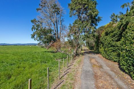 Photo of property in 519 Thornton Road, Thornton, Whakatane, 3194