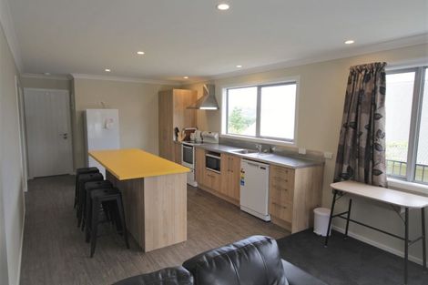 Photo of property in Includes 135, 137 Harbour Tce, 139 Harbour Terrace, North Dunedin, Dunedin, 9016