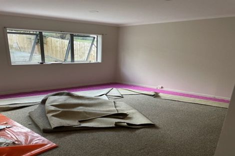 Photo of property in 46 Chapel Road, Flat Bush, Auckland, 2019