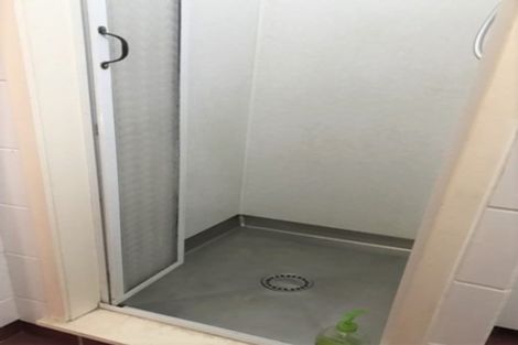 Photo of property in 16 Saxton Street, Levin, 5510