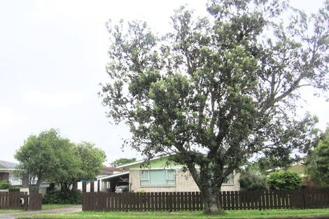 Photo of property in 109 West Street, Pukekohe, 2120