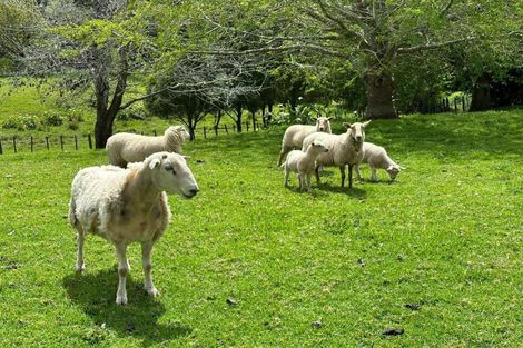 Photo of property in 1680 Tiki Sh25 Road, Preece Point, Coromandel, 3506