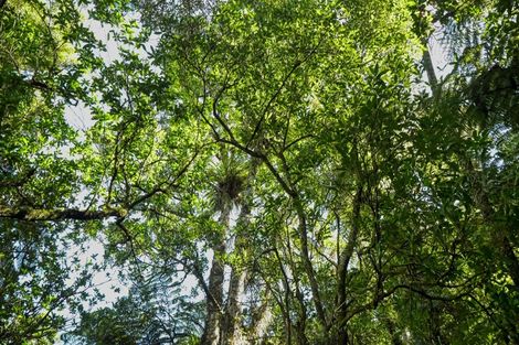 Photo of property in 427 Soldiers Road, Lower Kaimai, Tauranga, 3171