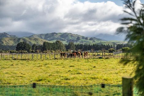 Photo of property in 76 Jordan Road, Waingawa, Carterton, 5791