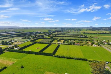 Photo of property in 81 Macdonald Road, Te Teko, Whakatane, 3192