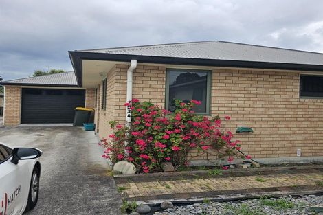 Photo of property in 253 Dey Street, Hamilton East, Hamilton, 3216