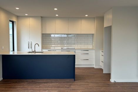 Photo of property in 41 Edlin Lane, Pegasus, 7612