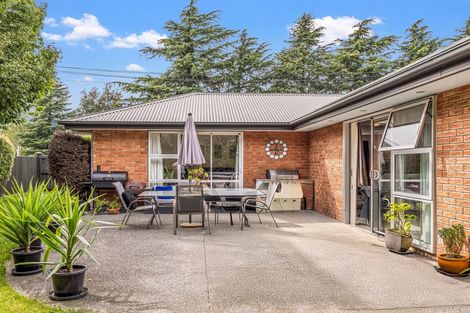 Photo of property in 10 Russell Street, Darfield, 7510