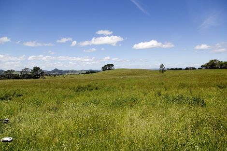 Photo of property in 233 Tatarariki Spur Road, Te Kopuru, 0391