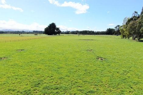 Photo of property in 19 Black Road, Paengaroa, Te Puke, 3189