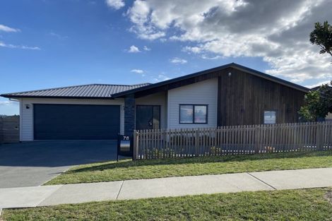 Photo of property in 78 Harvest Avenue, Orewa, 0931