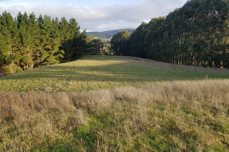 Photo of property in 457 Old Port Road, Warepa, Balclutha, 9273