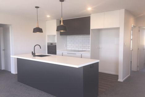 Photo of property in 23 Halpin Drive, Lincoln, 7608