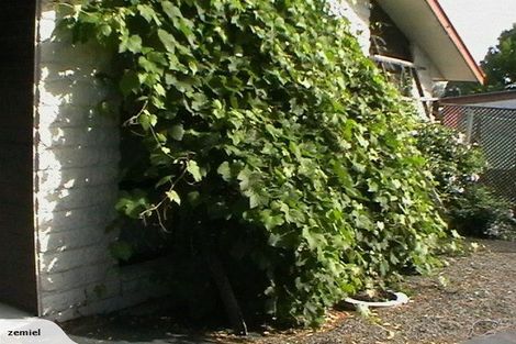 Photo of property in 56 Kawau Crescent, Bromley, Christchurch, 8062