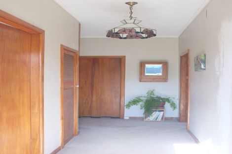 Photo of property in 29 Hinau Street, Maeroa, Hamilton, 3200