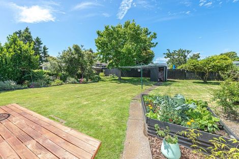 Photo of property in 10 Hadfield Crescent, College Estate, Whanganui, 4500