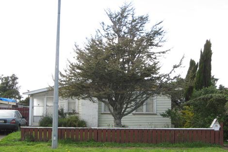 Photo of property in 118 Cracroft Street, Waitara, 4320