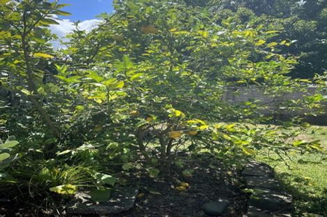 Photo of property in 10 Braestar Court, Henderson, Auckland, 0612