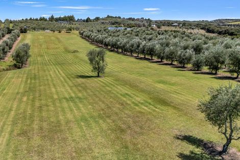 Photo of property in 79 Leccino Valley Road, Mangonui, 0494